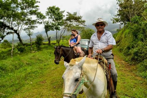 Hotel Termales Del Bosque