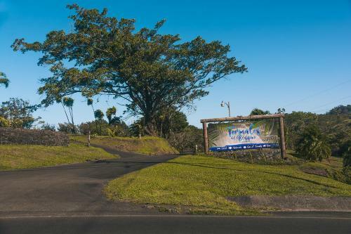 Hotel Termales Del Bosque