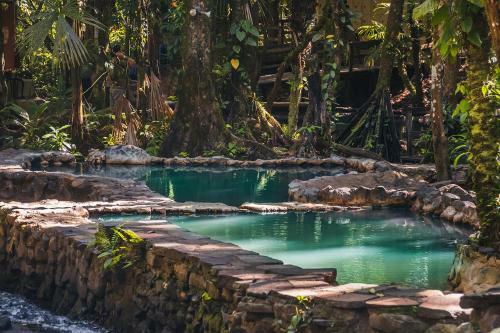 Hotel Termales Del Bosque