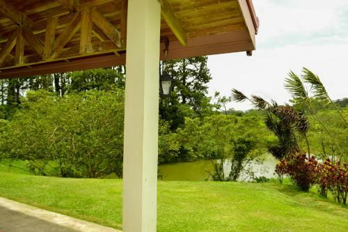 Hotel Termales Del Bosque