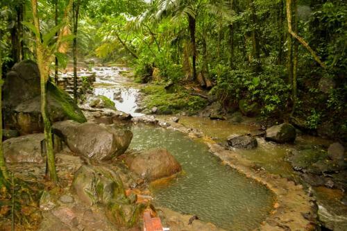 Hotel Termales Del Bosque
