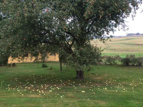Agroturismo Kondrupgaard