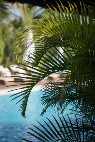 Hotel Campo Bahia