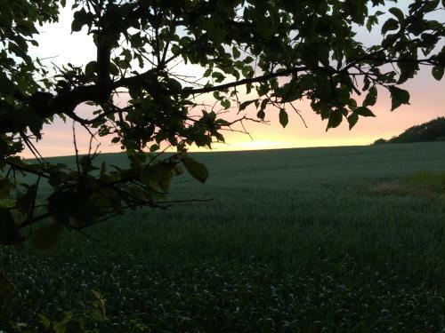 Apartamento Lindegaardapartment - Woods And Sea