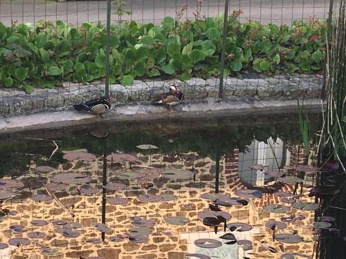 Bed & Breakfast Les Chambres De La M�tairie Du Dick