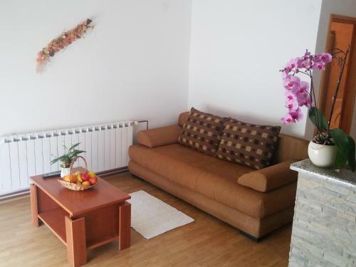 Hostal Guest House Domig