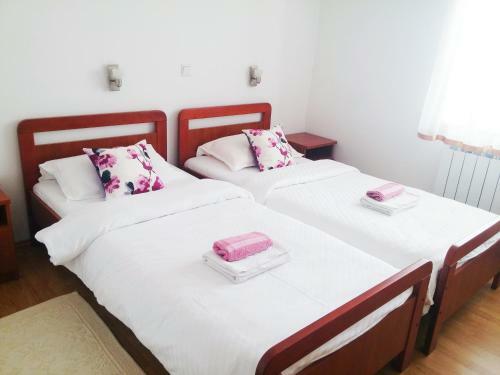 Hostal Guest House Domig