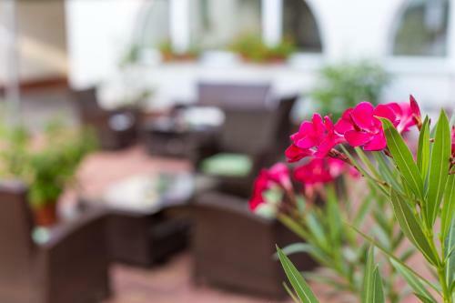 Tokajv�r Hotel