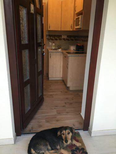 Hostal Csipke Lovaspanzi�