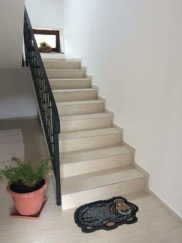 Hostal Csipke Lovaspanzi�