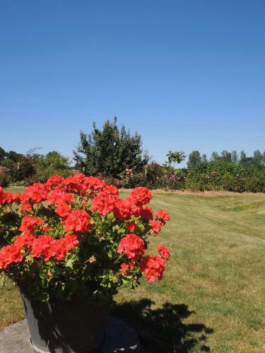 Bed & Breakfast Les Stiers