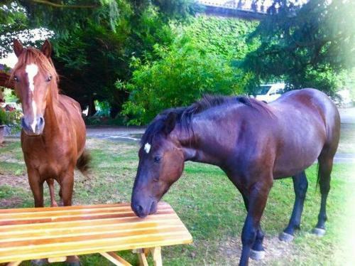 Bed & Breakfast Le Domaine De Charlyne