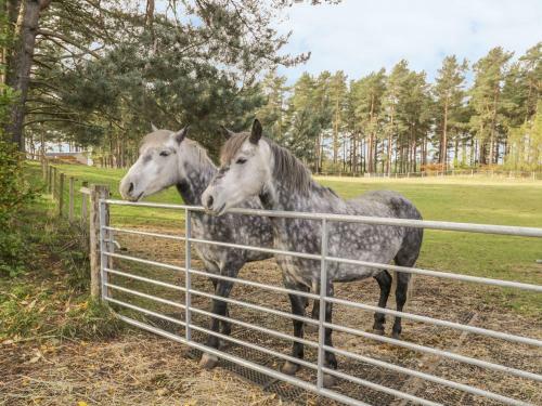 Muiryhall Steading, Elgin
