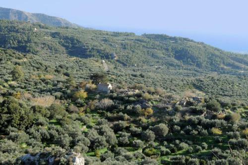 Apartamento Mala Villa