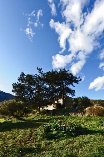 Apartamento Mala Villa