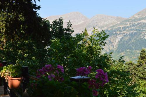 Koutsikouris Hotel