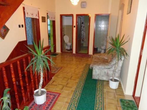 Hostal Katica Vend�gh�z