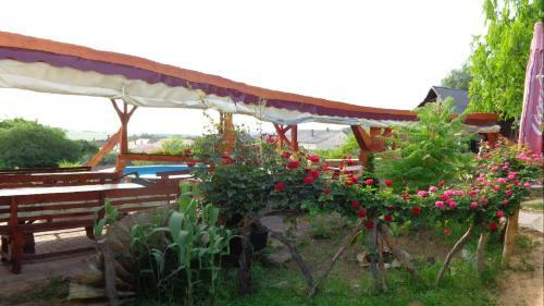 Hostal Katica Vend�gh�z