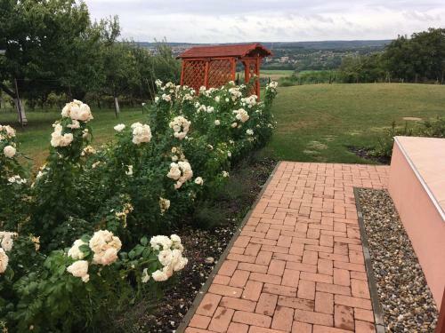 Green Zone Apartments