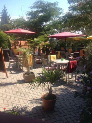 Hostal Aranyalma Panzio