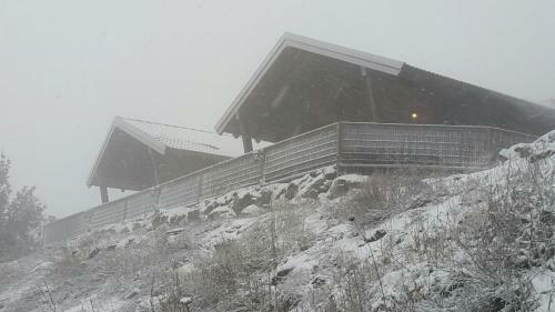 Gilad Cabins