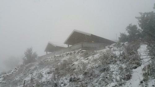 Gilad Cabins