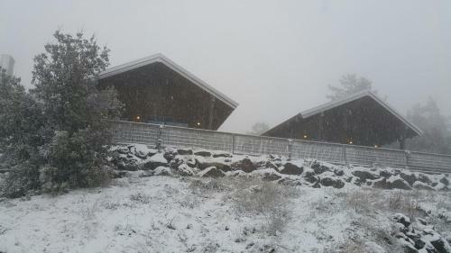 Gilad Cabins