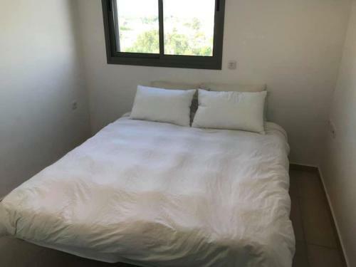 Tel Aviv Modern Apartment