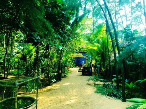 Hotel Nirvana Nature