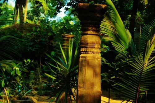 Hotel Nirvana Nature