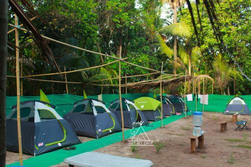 Camp Aloha By Getsetcamp