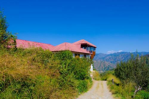 Blissful Experience At Shimla