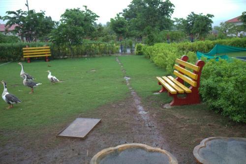 Super Deluxe Room Accommodation At Malshej