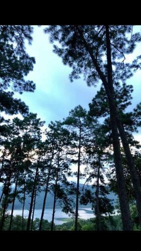 Hotel Roinam Retreat