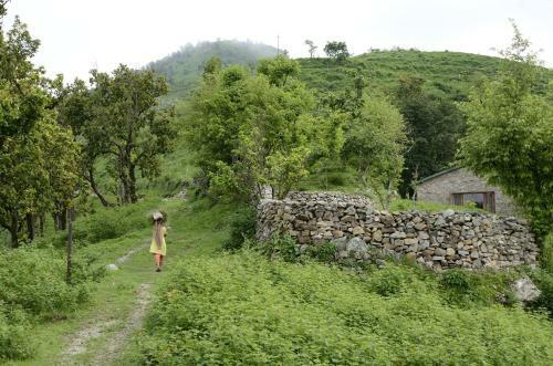 Tanhau
