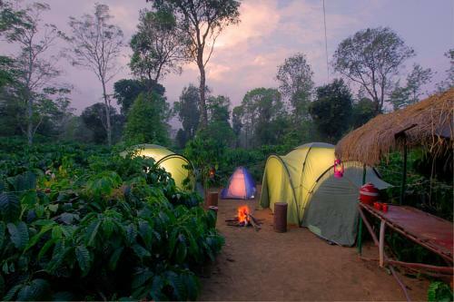 Hotel Evergreen County Coorg