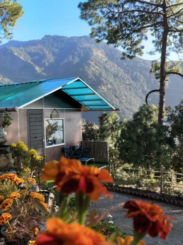 Hotel The Cocoon Camps & Nature Resorts