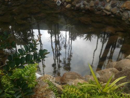 Hotel Happy Nest Yercaud