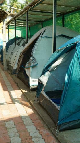 Trippr Gokarna - Backpacker Hostel
