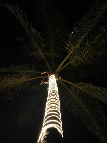 Trippr Gokarna - Backpacker Hostel