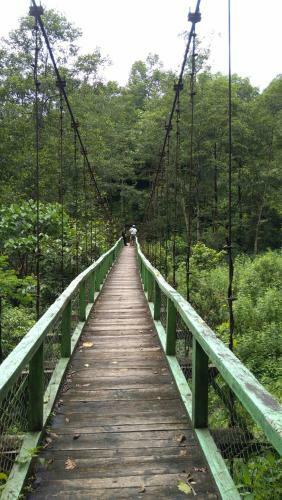 Vamoosetrail Rolep