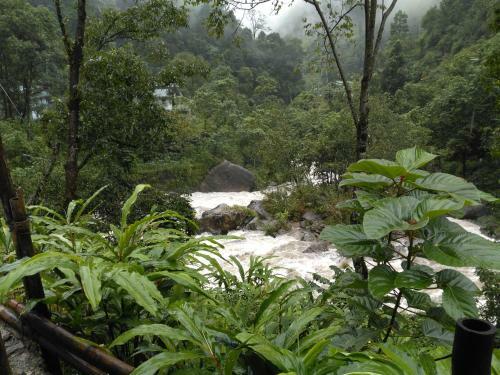 Smriti Homestay