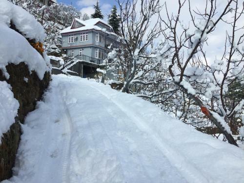 Villa Zostel Homes Kotgarh (shimla)