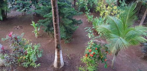 Hotel Prabhukrupa Tourist Farm