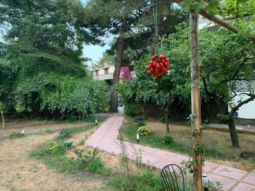 Hostal Villa Belvedere