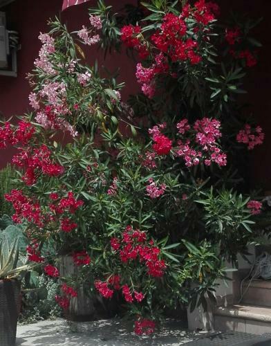 B&B Le Stanze Di Amelie