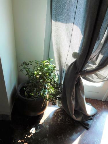 B&B Le Stanze Di Amelie