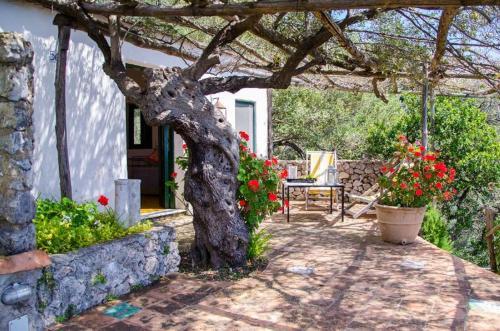 Maiori Villa Sleeps 12 Pool Air Con Wifi