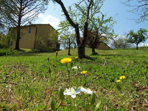 Agroturismo Agriturismo Trattonaturale Montassi