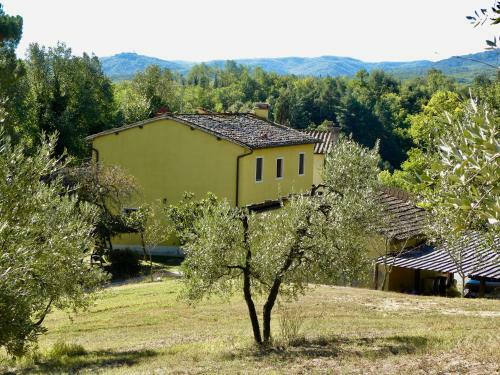 Agroturismo Agriturismo Trattonaturale Montassi